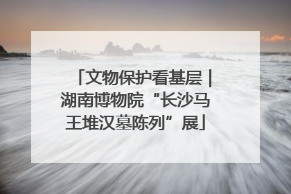 文物保护看基层｜湖南博物院“长沙马王堆汉墓陈列”展