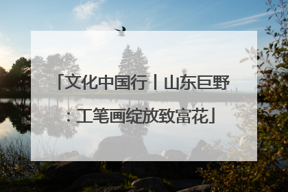 文化中国行丨山东巨野：工笔画绽放致富花