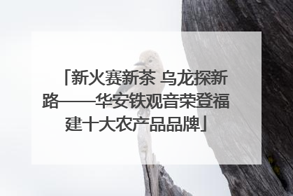 新火赛新茶 乌龙探新路——华安铁观音荣登福建十大农产品品牌