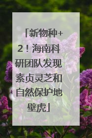 新物种+2！海南科研团队发现素贞灵芝和自然保护地壁虎
