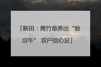 新田：黄竹草养出“致富牛” 农户信心足