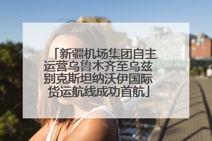 新疆机场集团自主运营乌鲁木齐至乌兹别克斯坦纳沃伊国际货运航线成功首航
