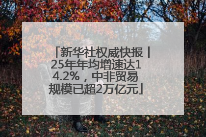 新华社权威快报丨25年年均增速达14.2%，中非贸易规模已超2万亿元
