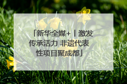 新华全媒+丨激发传承活力 非遗代表性项目聚成都