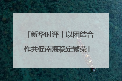 新华时评丨以团结合作共促南海稳定繁荣