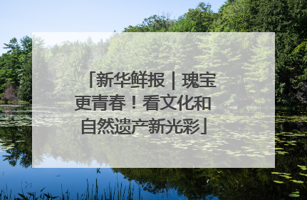 新华鲜报｜瑰宝更青春！看文化和自然遗产新光彩