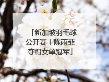 新加坡羽毛球公开赛丨陈雨菲夺得女单冠军