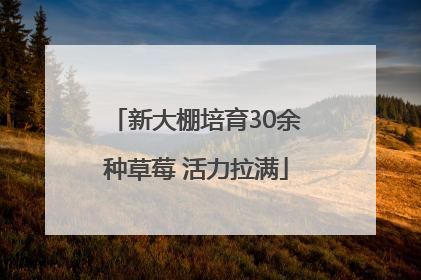 新大棚培育30余种草莓 活力拉满