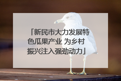 新民市大力发展特色瓜果产业 为乡村振兴注入强劲动力