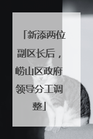 新添两位副区长后，崂山区政府领导分工调整
