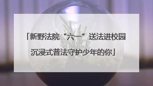 新野法院“六一”送法进校园 沉浸式普法守护少年的你