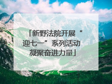 新野法院开展“迎七一”系列活动 凝聚奋进力量