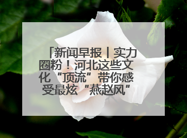 新闻早报丨实力圈粉！河北这些文化“顶流”带你感受最炫“燕赵风”；云端比高下，京津冀风筝高手“花式炫技”>>