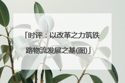 时评：以改革之力筑铁路物流发展之基(图)