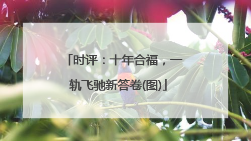 时评：十年合福，一轨飞驰新答卷(图)