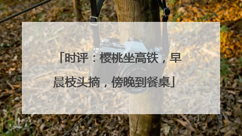 时评：樱桃坐高铁，早晨枝头摘，傍晚到餐桌