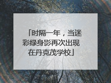 时隔一年，当迷彩绿身影再次出现在丹克茂学校