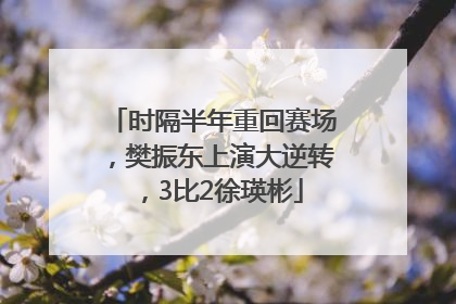 时隔半年重回赛场，樊振东上演大逆转，3比2徐瑛彬