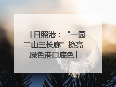 日照港：“一园二山三长廊”擦亮绿色港口底色