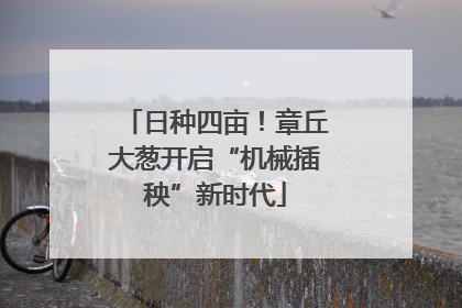 日种四亩！章丘大葱开启“机械插秧”新时代