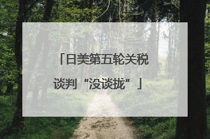 日美第五轮关税谈判“没谈拢”