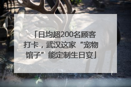 日均超200名顾客打卡，武汉这家“宠物馆子”能定制生日宴