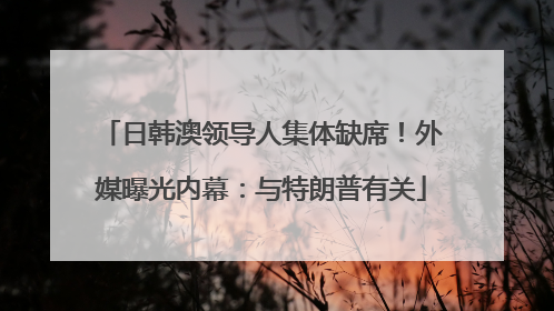 日韩澳领导人集体缺席！外媒曝光内幕：与特朗普有关