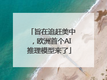 旨在追赶美中，欧洲首个AI推理模型来了
