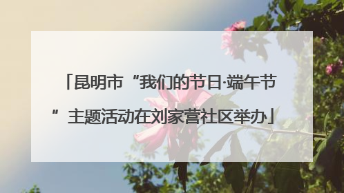 昆明市“我们的节日·端午节”主题活动在刘家营社区举办