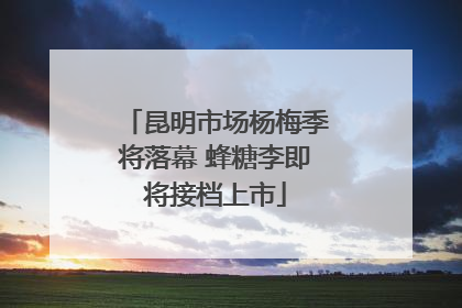 昆明市场杨梅季将落幕 蜂糖李即将接档上市