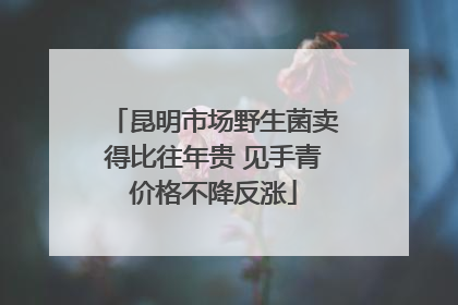 昆明市场野生菌卖得比往年贵 见手青价格不降反涨