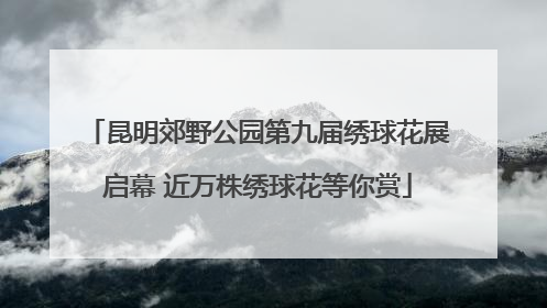 昆明郊野公园第九届绣球花展启幕 近万株绣球花等你赏