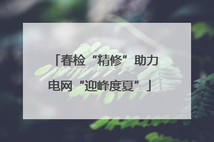 春检“精修”助力电网“迎峰度夏”