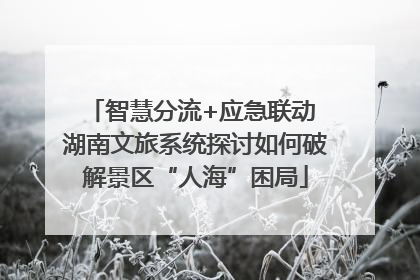 智慧分流+应急联动 湖南文旅系统探讨如何破解景区“人海”困局