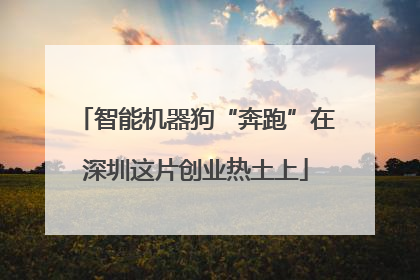 智能机器狗“奔跑”在深圳这片创业热土上