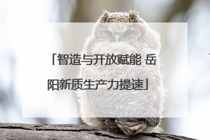 智造与开放赋能 岳阳新质生产力提速