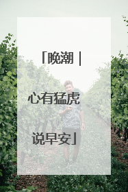 晚潮｜心有猛虎说早安