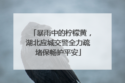 暴雨中的柠檬黄，湖北应城交警全力疏堵保畅护平安