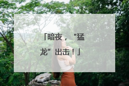 暗夜，“猛龙”出击！