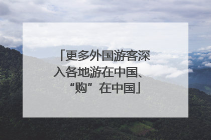 更多外国游客深入各地游在中国、“购”在中国