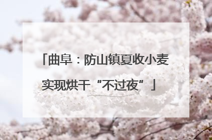 曲阜：防山镇夏收小麦实现烘干“不过夜”