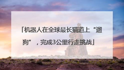 机器人在全球最长猫道上“遛狗”，完成3公里行走挑战