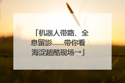 机器人带路、全息留影……带你看海淀超酷现场→