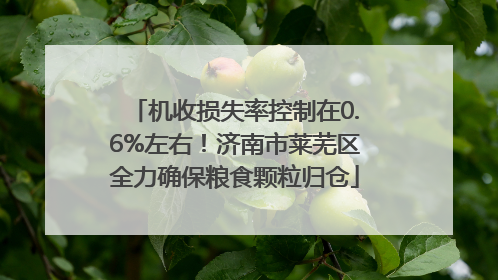 机收损失率控制在0.6%左右！济南市莱芜区全力确保粮食颗粒归仓