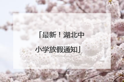 最新！湖北中小学放假通知