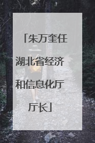 朱万奎任湖北省经济和信息化厅厅长