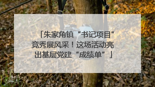 朱家角镇“书记项目”竞秀展风采！这场活动亮出基层党建“成绩单”