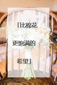 比棉花更饱满的希望