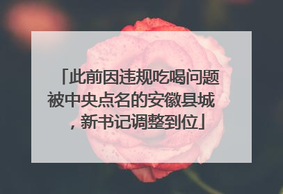 此前因违规吃喝问题被中央点名的安徽县城，新书记调整到位