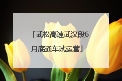武松高速武汉段6月底通车试运营